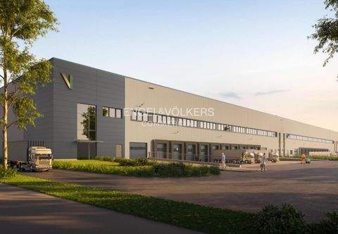 Berlin Halle, Berlin Hallenfläche