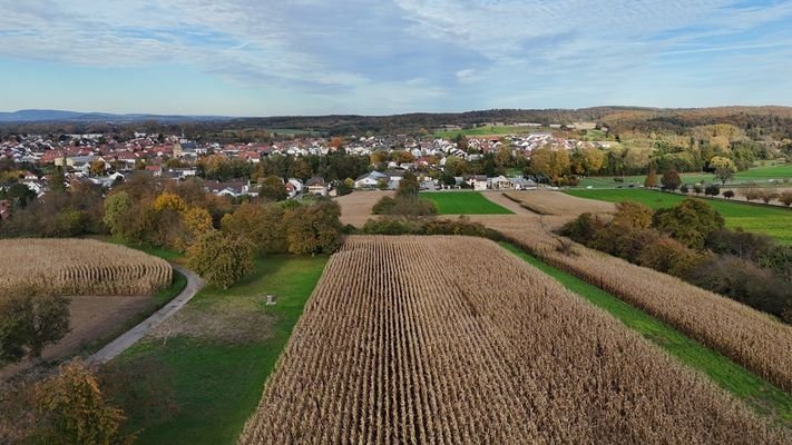 Blick vom geplanten Standort des Grundstücks