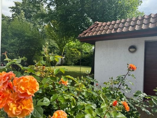 Blick zum Garten