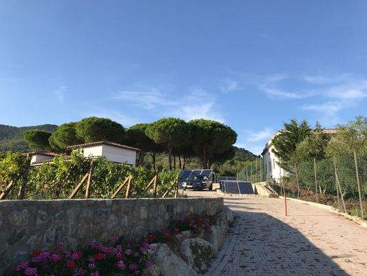 Wirtschaftshof mit viel Platz