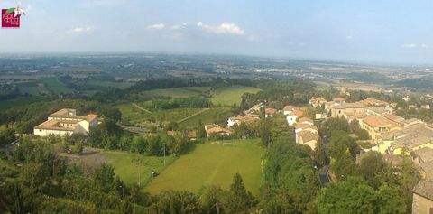 Bertinoro Gastronomie, Pacht, Gaststätten