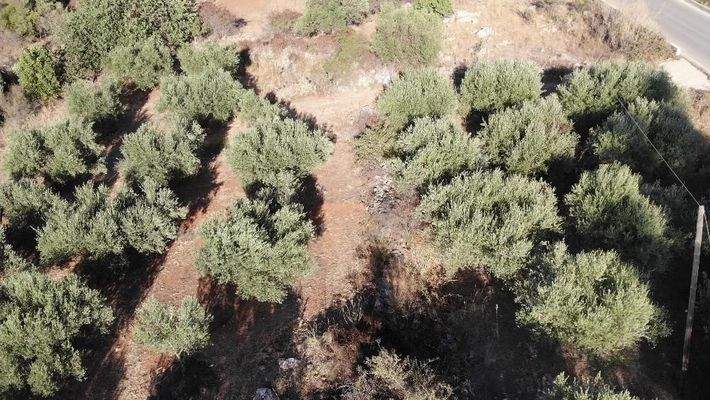 Kreta, Xirosterni: Grundstück in ruhiger Lage mit Berg- und Meerblick zu verkaufen
