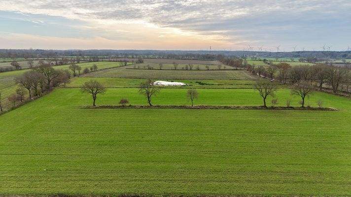 Landwirtschaftliche Fläche 