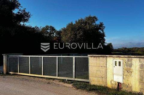 Stinjan Bauernhöfe, Landwirtschaft, Stinjan Forstwirtschaft