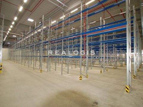 Viernheim Halle, Viernheim Hallenfläche