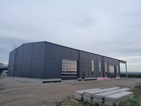 Hausleiten Halle, Hausleiten Hallenfläche