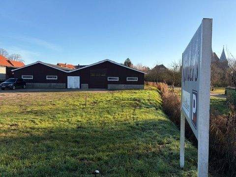 Bardowick Halle, Bardowick Hallenfläche