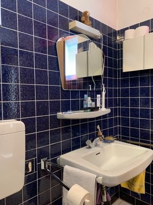 Ansicht Dusche - WC im EG