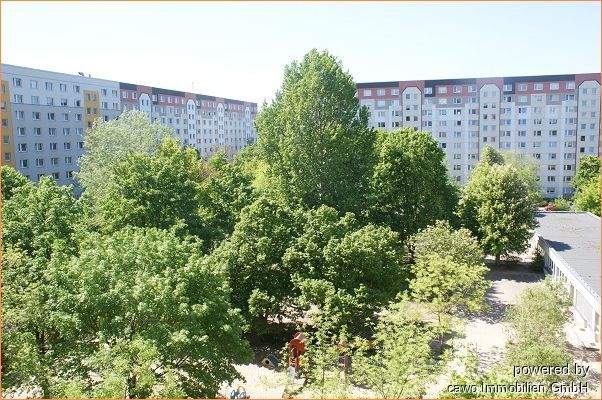 4. parkähnlicher Innenhof