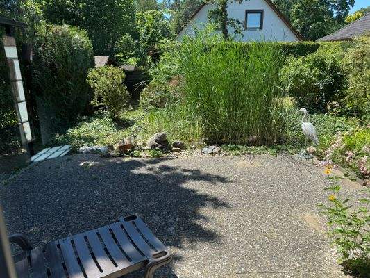 Blick in den Garten