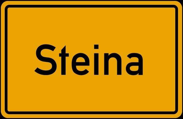 Steina