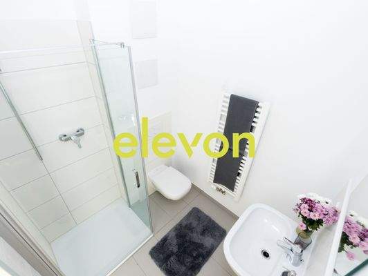 Swan35_Weimar_07_2017_Andreas_Schwarz-16