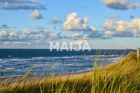 Nica Häuser, Nica Haus kaufen