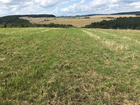 Horschbach Bauernhöfe, Landwirtschaft, Horschbach Forstwirtschaft