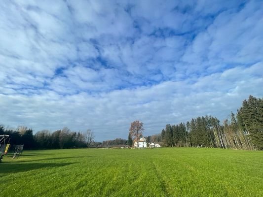 Ausblick vom Grundstück (2)