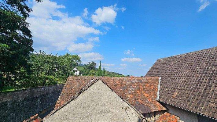 Teilansichten Hof (4).jpg