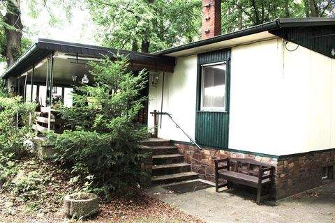 Brandis b Wurzen Häuser, Brandis b Wurzen Haus kaufen