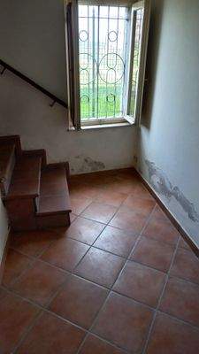 WhatsApp Image 2024-03-14 at 12.29.06.jpeg