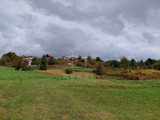 Umgeben von viel Grün