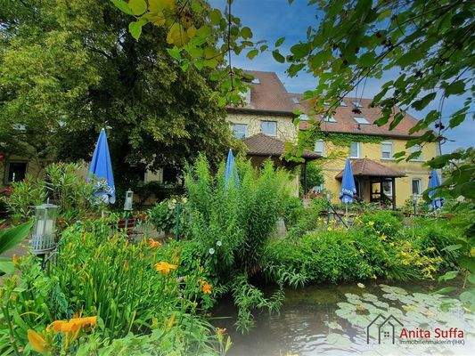 Blick über den Teich