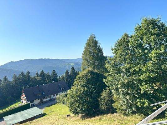 Schwarzwaldblick 