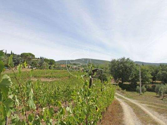 Traumhaften Anwesen | Arezzo