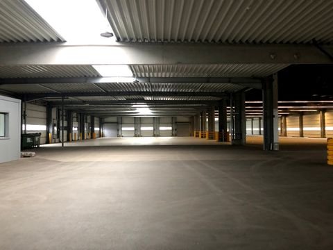 Heilbronn Halle, Heilbronn Hallenfläche