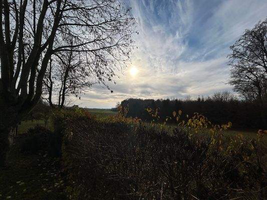 Ausblick unverbaubar.JPG