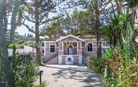 Messina Häuser, Messina Haus kaufen