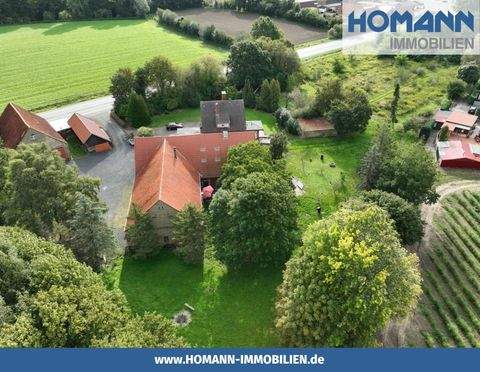 Münster Halle, Münster Hallenfläche