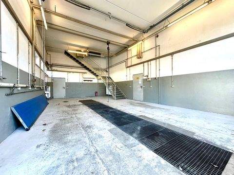 Bayreuth / Aichig Halle, Bayreuth / Aichig Hallenfläche