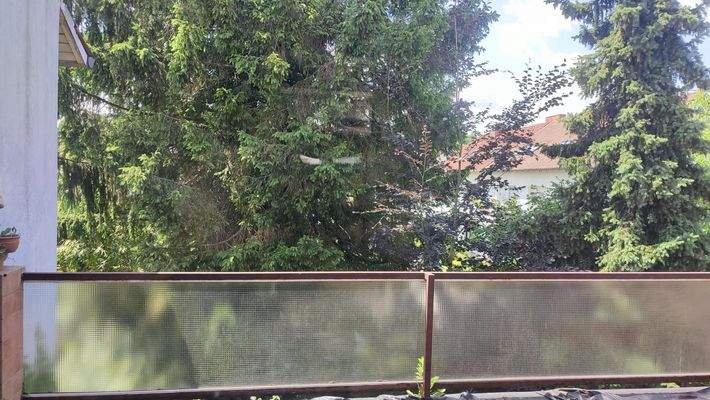 Terrasse mit Blick in Garten.jpg