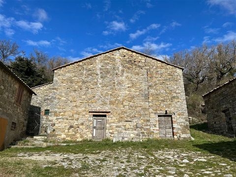 Montieri Häuser, Montieri Haus kaufen