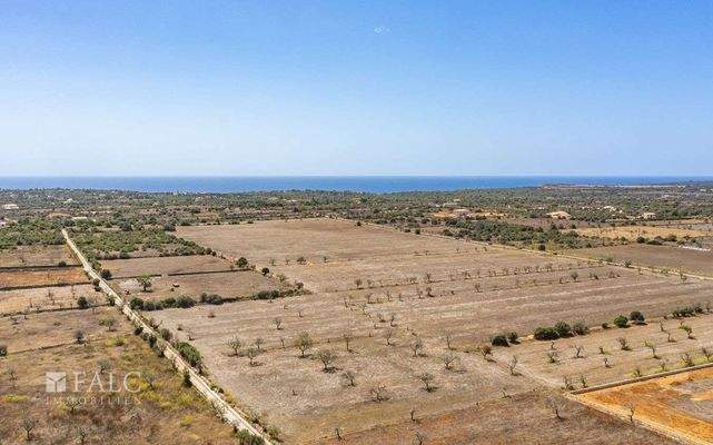 Grundstück-Cala Llombards-11