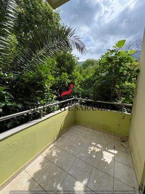 WhatsApp Image 2025-05-11 at 10.24.30-3.jpeg