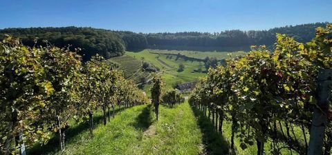 Beilstein Bauernhöfe, Landwirtschaft, Beilstein Forstwirtschaft