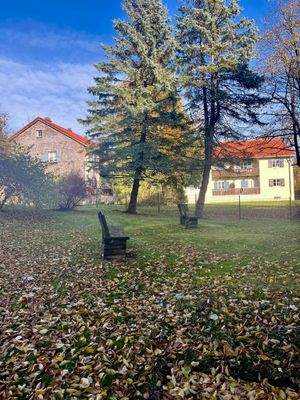 gepflegter Außenbereich