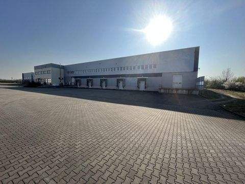 Neuss Halle, Neuss Hallenfläche