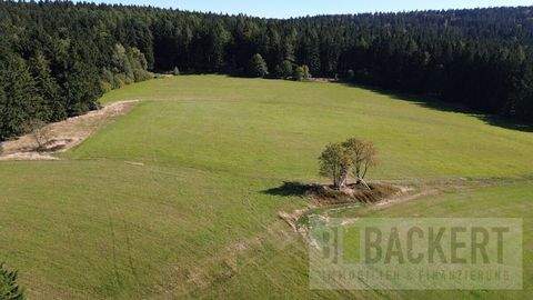 Bärnau Bauernhöfe, Landwirtschaft, Bärnau Forstwirtschaft