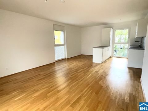 Wien Wohnungen, Wien Wohnung mieten