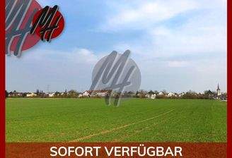 INFOS UNTER: 06171-586000