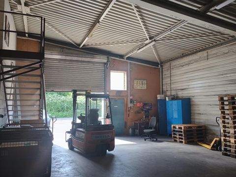 Heitersheim Halle, Heitersheim Hallenfläche