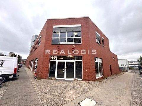 Berlin Halle, Berlin Hallenfläche