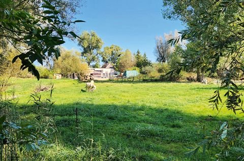 Borrentin Grundstücke, Borrentin Grundstück kaufen