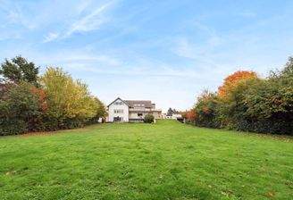  alles mein Land Rückansicht