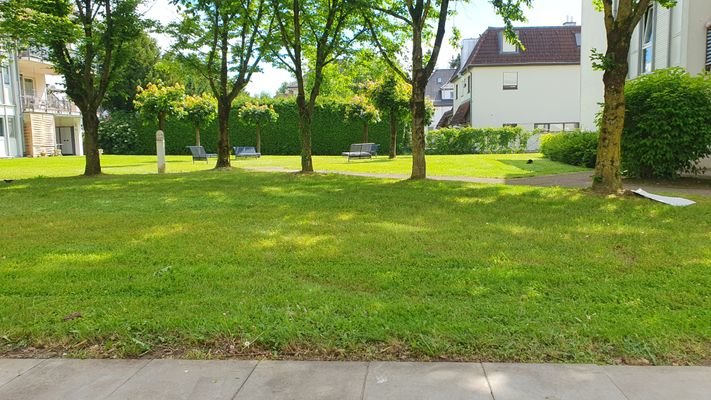 Blick vom Wohnzimmer + Terrasse