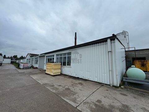 Bad Salzuflen Halle, Bad Salzuflen Hallenfläche