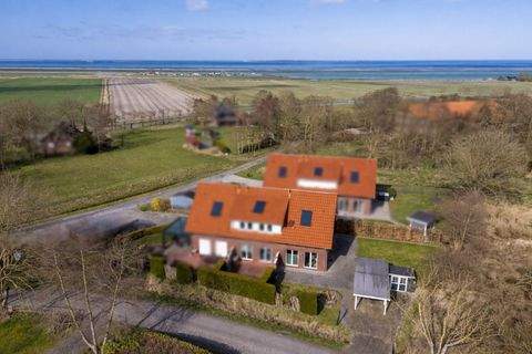 Dornum Häuser, Dornum Haus kaufen