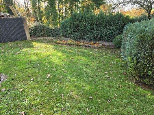 Wiese hinter dem Haus