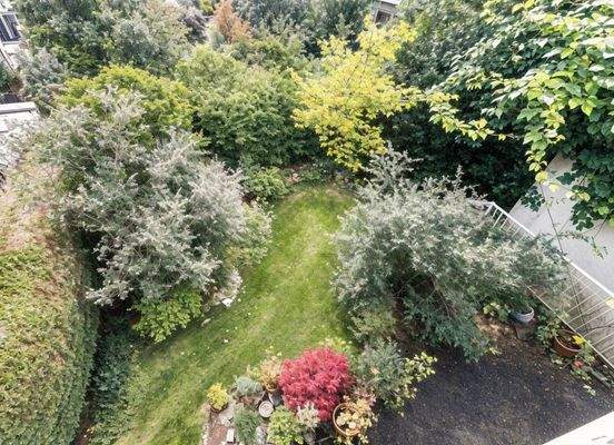 Blick auf den Garten 2